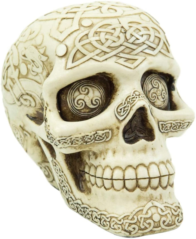 Ebros Celtic Triskelion Knotwork Dragon Tattoo Warrior Skull Statue 5.5" Long