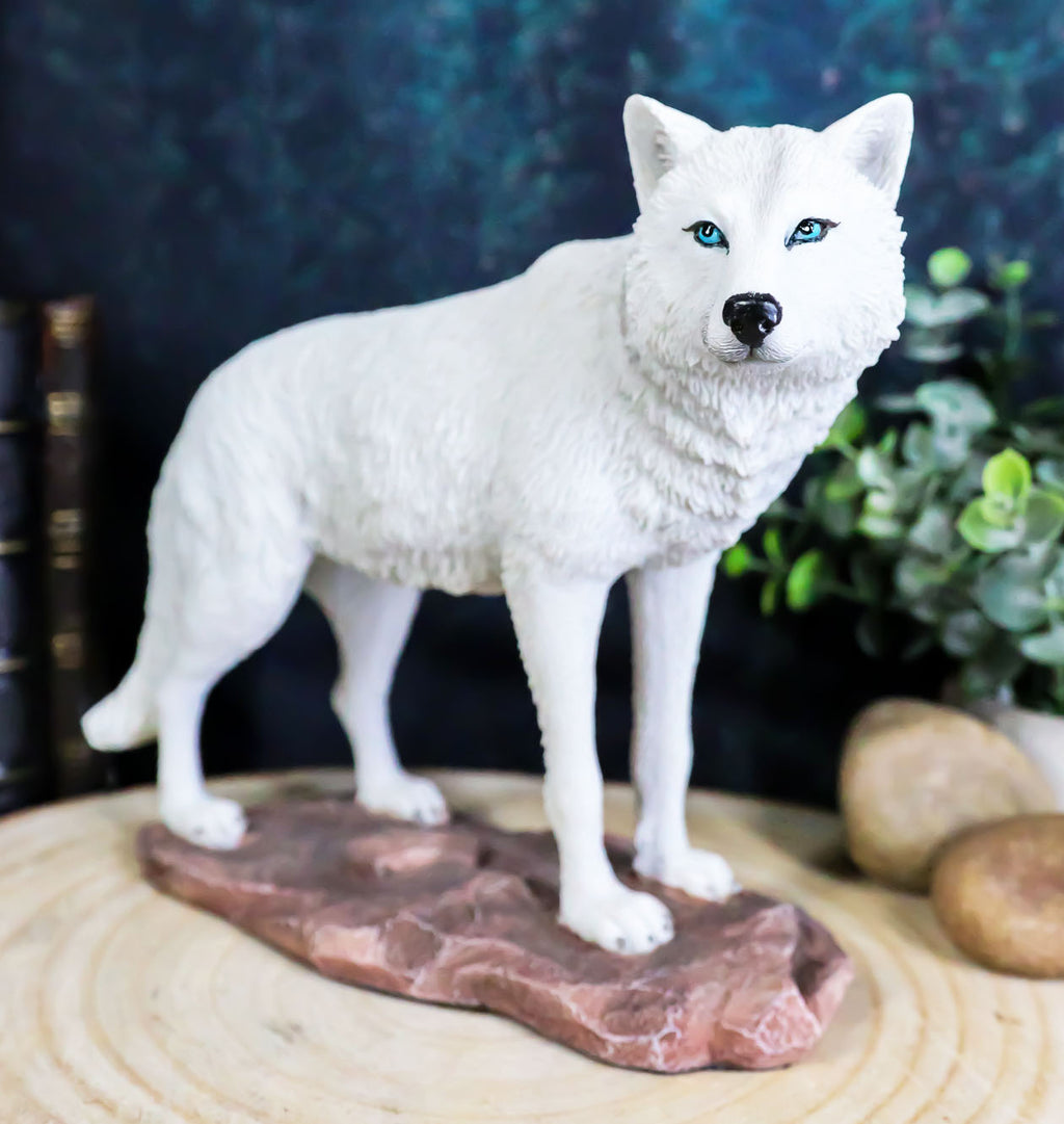 Ebros Gift Realistic Winter Hunter Tundra Snow White Albino Wolf Statu