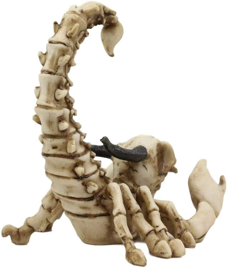 Ebros Gothic Giant Scorpion Skeleton with Horned Demon Skull Statue 7 ...