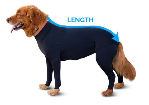 clothing sizes large size dog breed