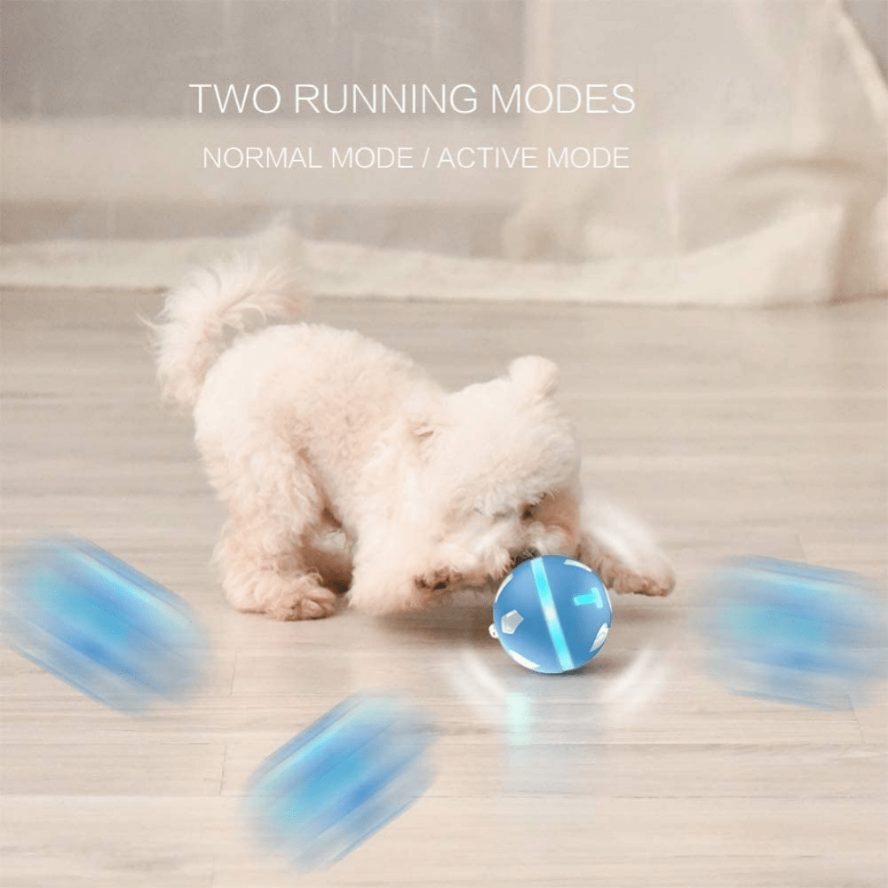 https://cdn.shopify.com/s/files/1/1733/0973/products/bentopal-cat-toy-bentopal-colourful-led-self-rolling-smart-ball-for-dogs-cats-blue-36297478930651.png?v=1639453490