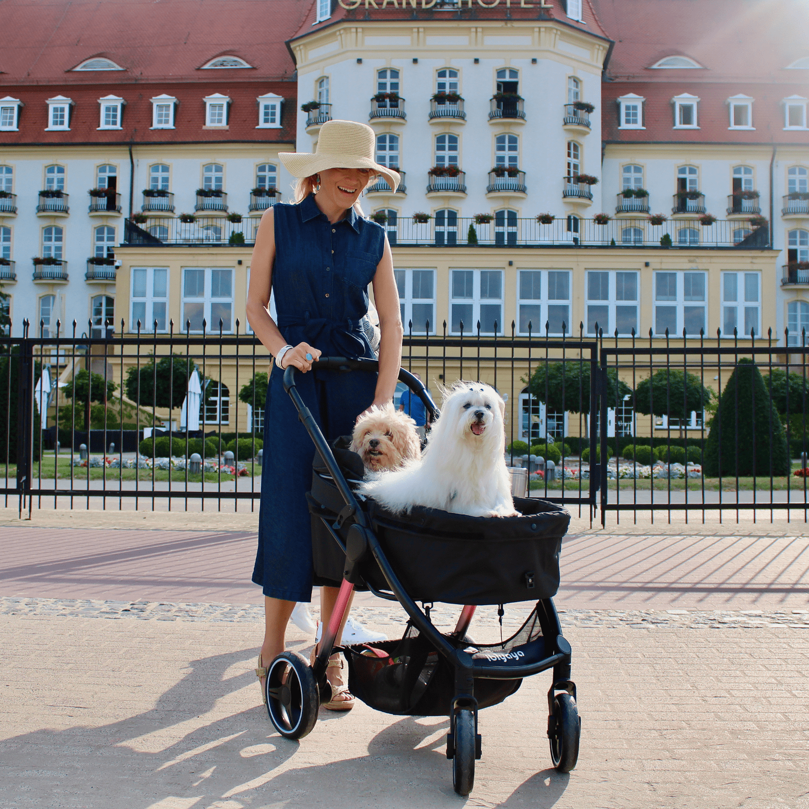 Ibiyaya Elegant Retro Luxe Pet Stroller