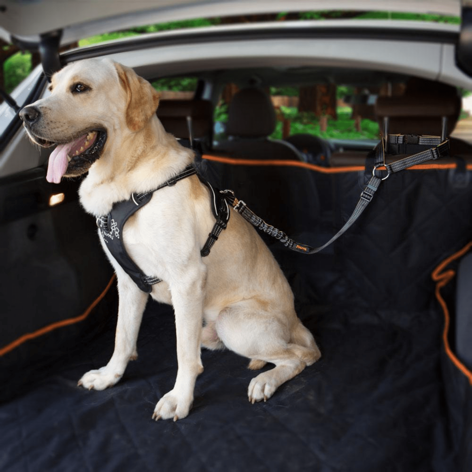 iBuddy Waterproof SUV Cargo Liner Cover for Dogs - Modern Pets