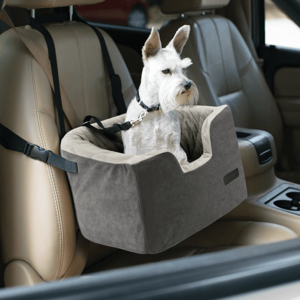 https://cdn.shopify.com/s/files/1/1733/0973/products/modern-pets-car-travel-quilted-dog-booster-seat-for-small-pets-31862539256007_600x.png?v=1683245457
