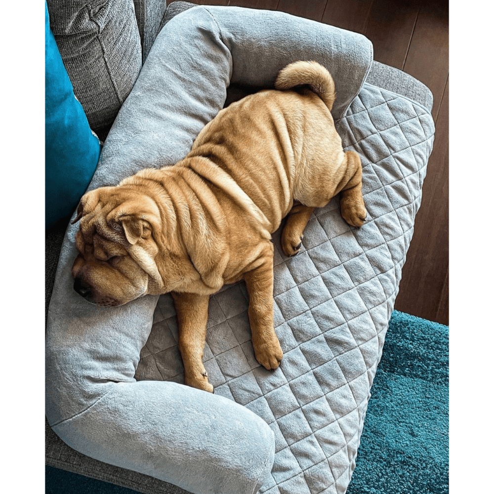 Sofa　Modern　Cats　Cover　Dogs　for　Pets　Quilted　Pet