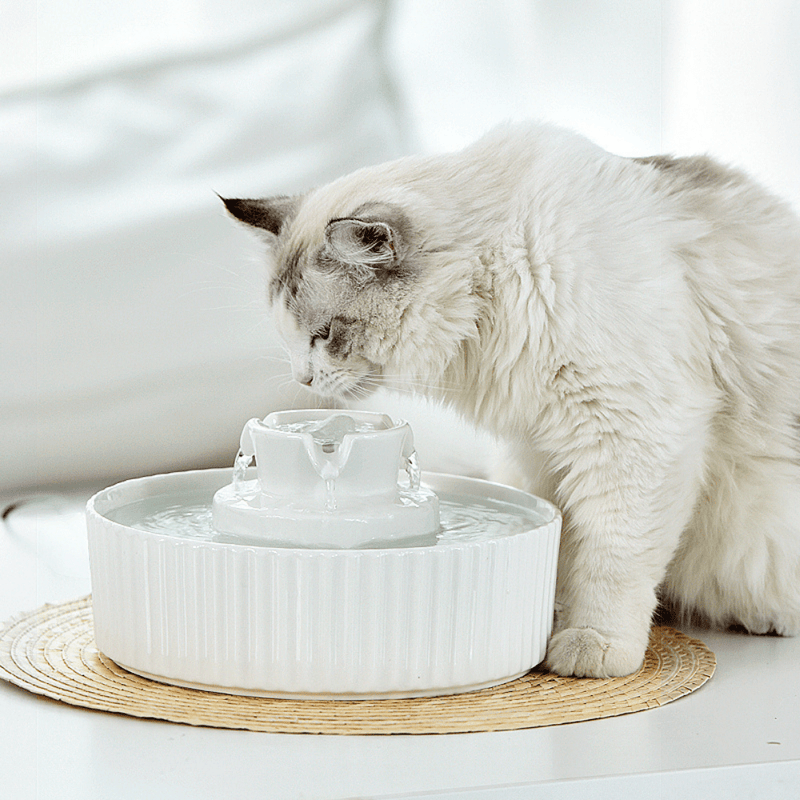 Ceramic Drinking Water Fountain for Dogs & Cats Modern Pets