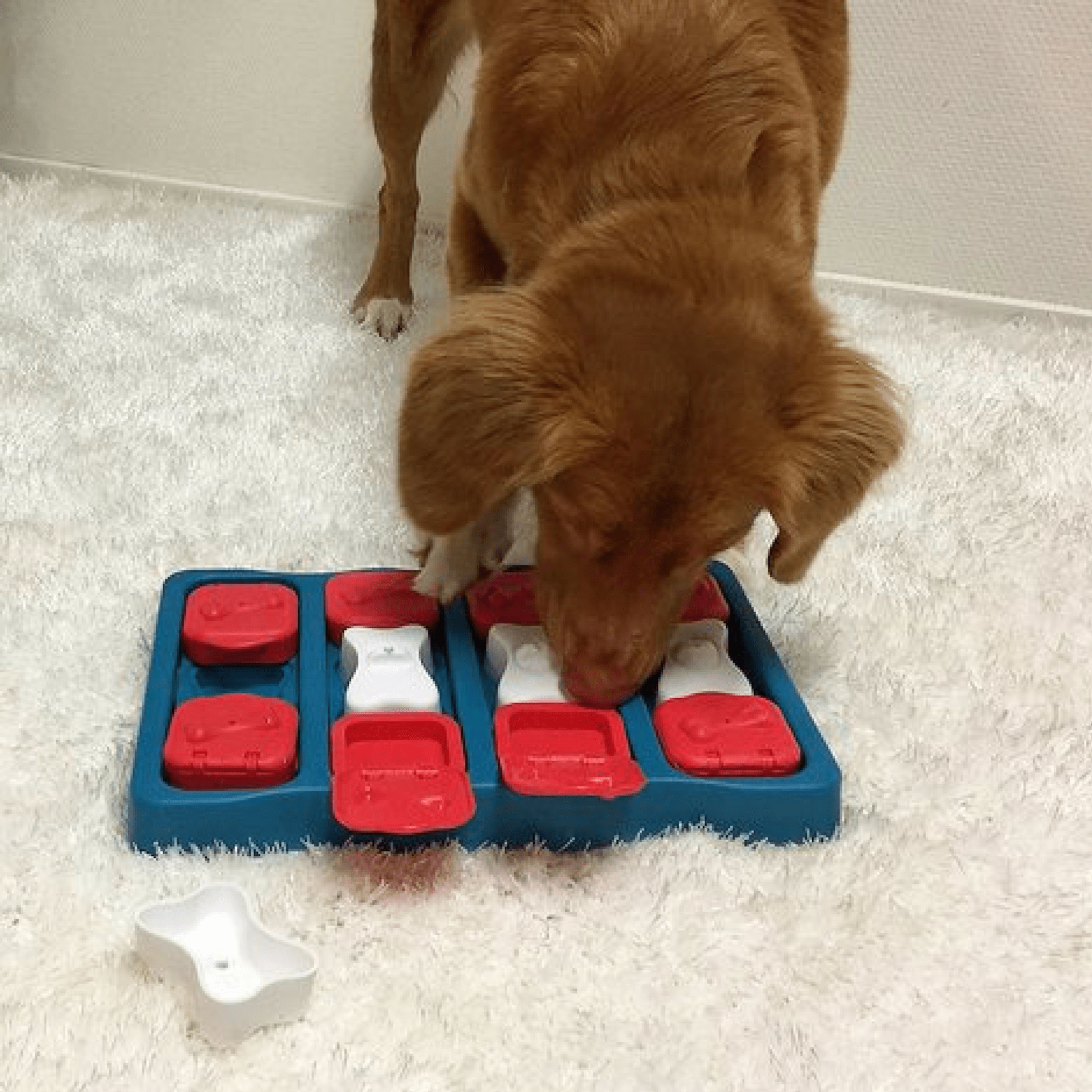 Nina Ottosson Dog Puzzle Toy Interactive Treat Dispenser, Dog Brick -  Modern Pets