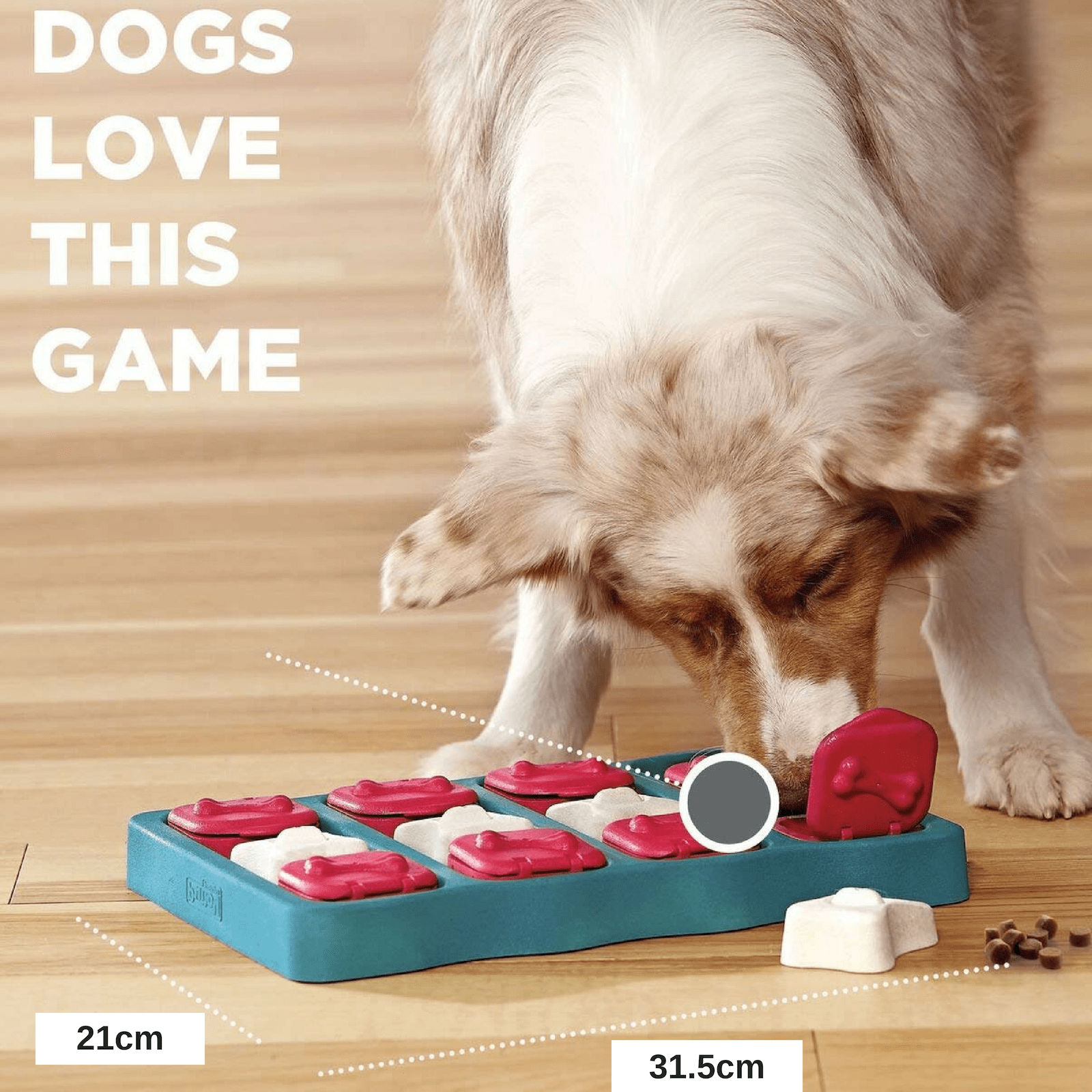 Nina Ottosson Dog Puzzle Toy Interactive Treat Dispenser, Dog Brick -  Modern Pets