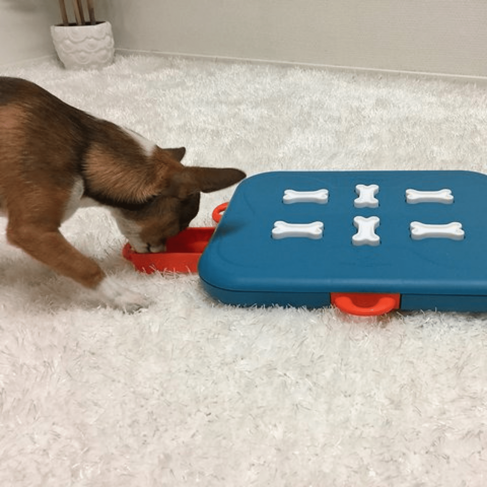 Outward Hound - Dog Tornado Interactive Treat Puzzle Pink - Puppy