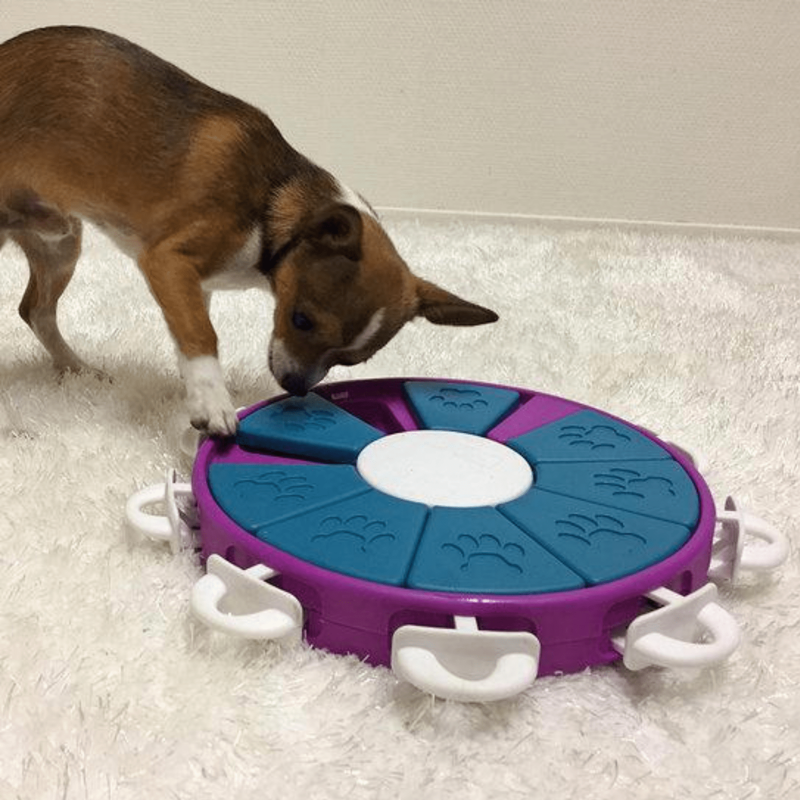 Outward Hound Snuffle N' Treat Interactive Puzzle Ball & Treat Dispenser  Dog Toy, Medium