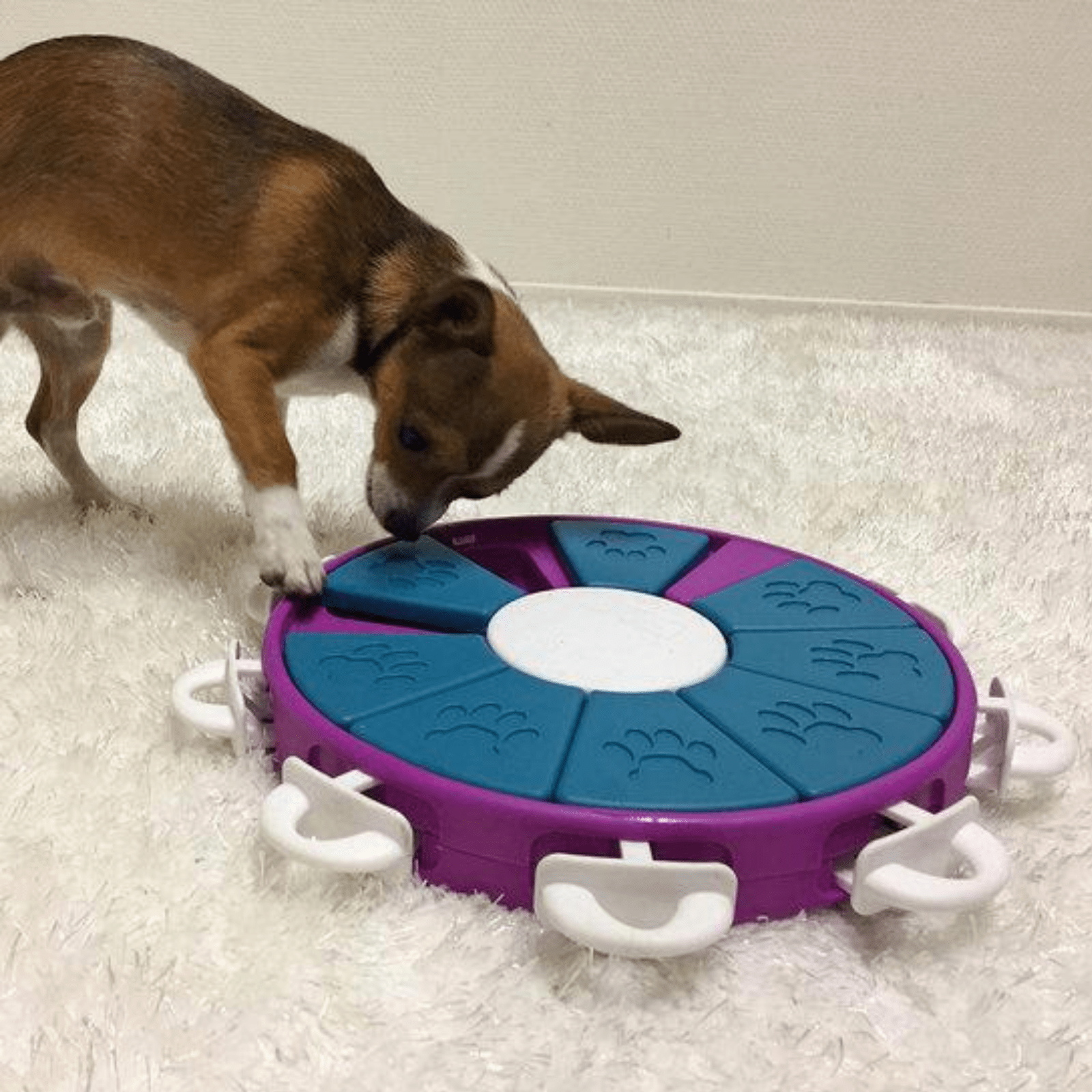 https://cdn.shopify.com/s/files/1/1733/0973/products/outward-hound-dog-toy-nina-ottosson-dog-puzzle-toy-interactive-treat-dispenser-dog-twister-31864235294919.png?v=1635172739