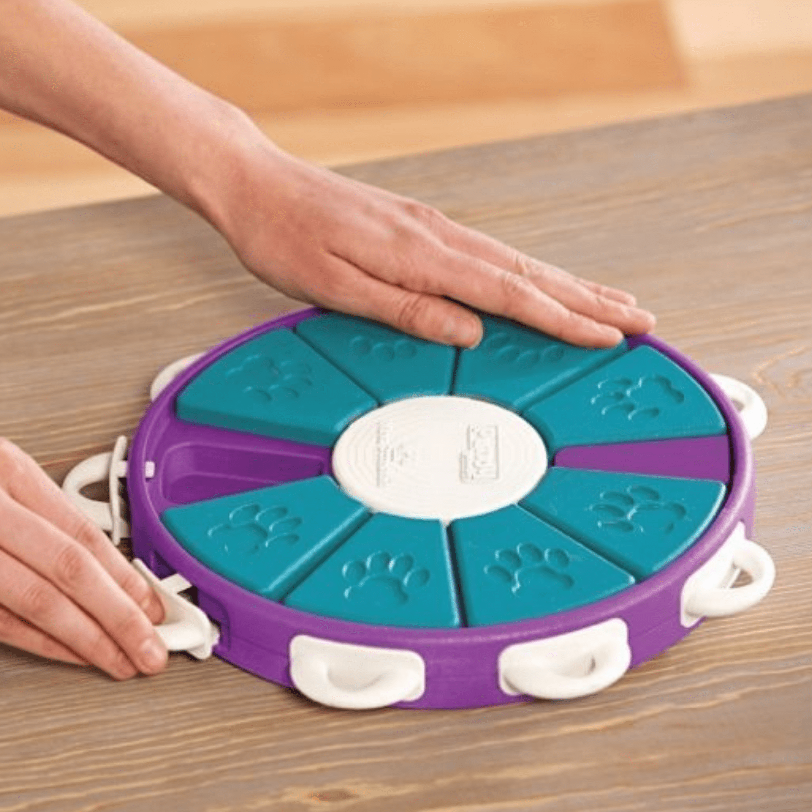 https://cdn.shopify.com/s/files/1/1733/0973/products/outward-hound-dog-toy-nina-ottosson-dog-puzzle-toy-interactive-treat-dispenser-dog-twister-31871528829127.png?v=1635172739