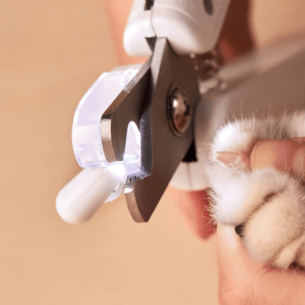 https://cdn.shopify.com/s/files/1/1733/0973/products/petkit-pet-grooming-petkit-led-pet-nail-clipper-31619488219335.png?v=1635059358