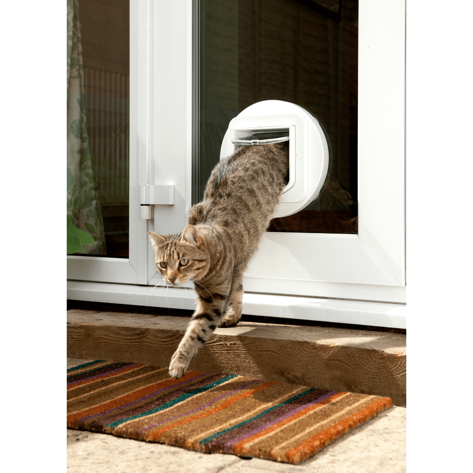 Cat chip clearance cat flap