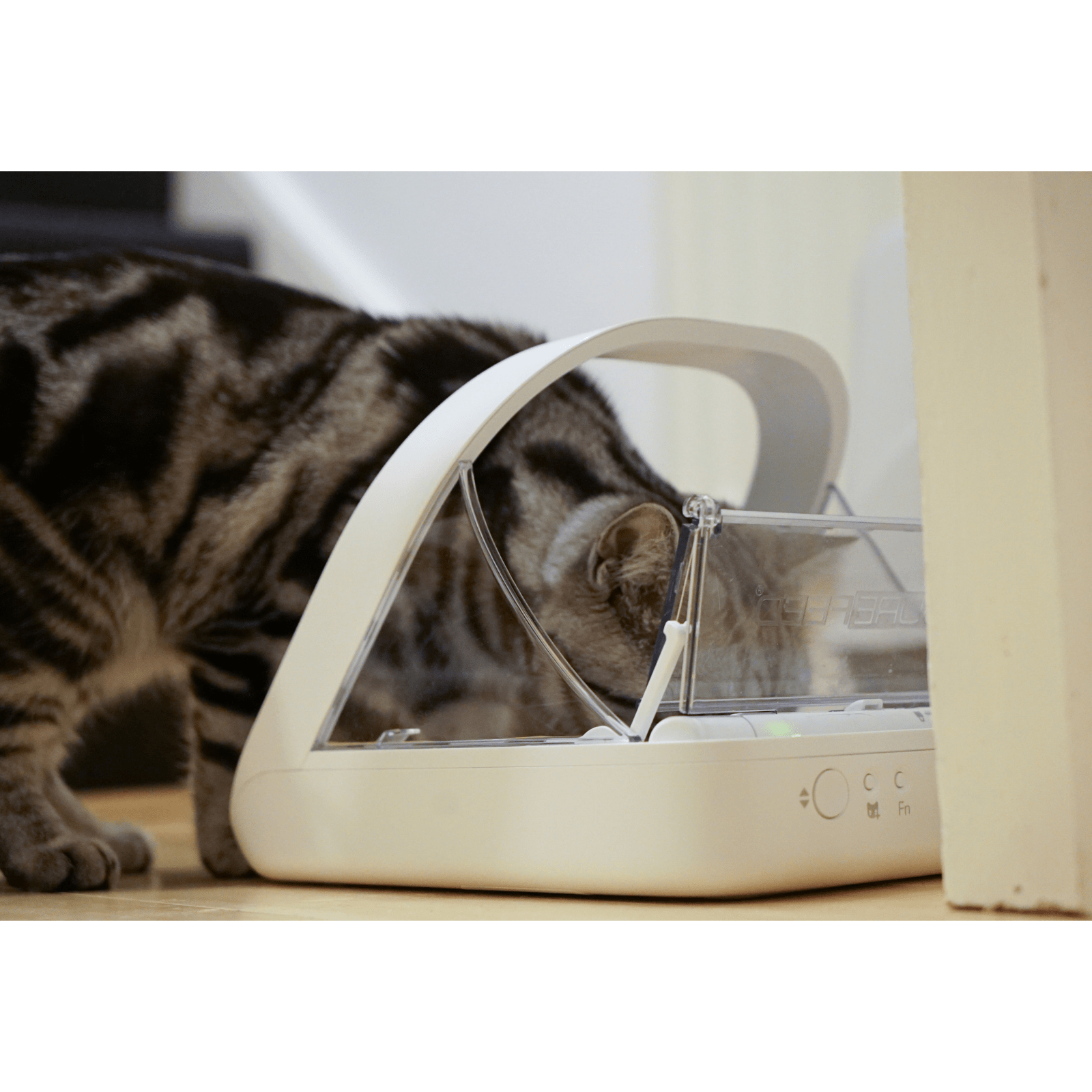 https://cdn.shopify.com/s/files/1/1733/0973/products/sure-petcare-pet-feeder-surefeed-microchip-pet-feeder-smart-feeding-bowl-for-dogs-cats-31862397731015.png?v=1635178499