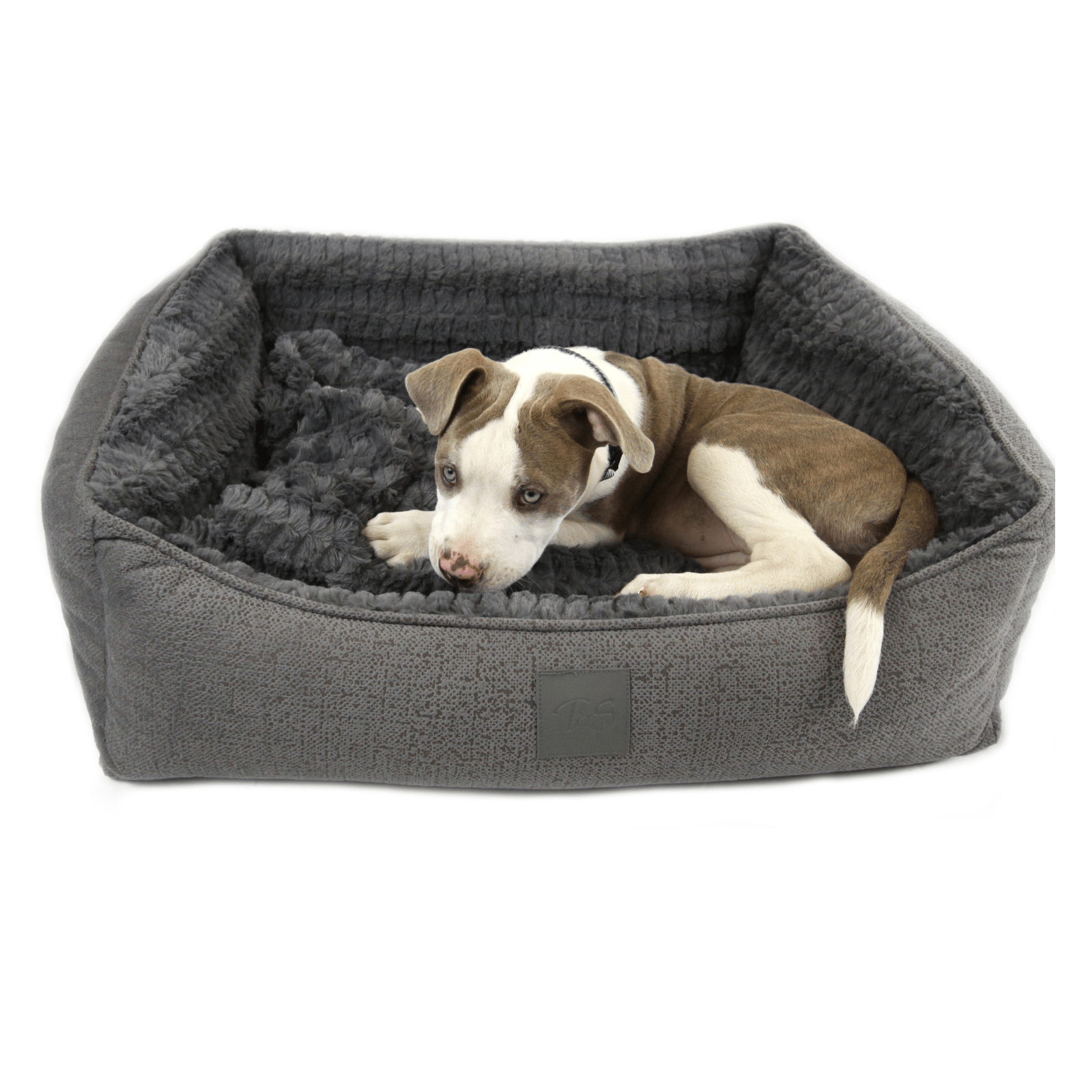 grey plush dog bed