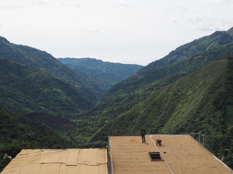 Views from Genova, Colombia