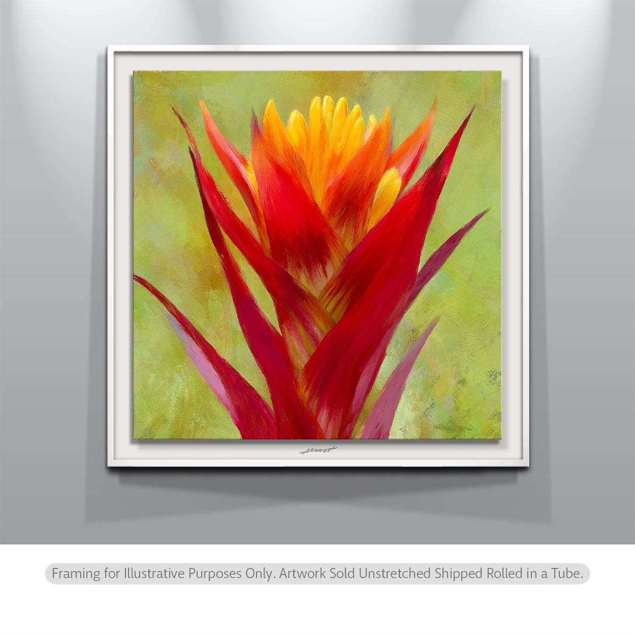 Nikte' 045 (Flower in the Maya Language)