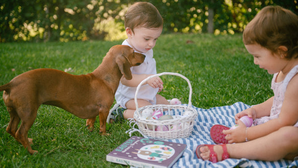 Two toddlers are playing with a dog in the garden. Holi week, gifts for kids, gifts ideas, easter.
