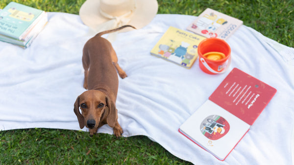 A dog is looking up and sound books are laying around on the grass. Musical books for kids, toddler musical activities, kids learning, toddler education.