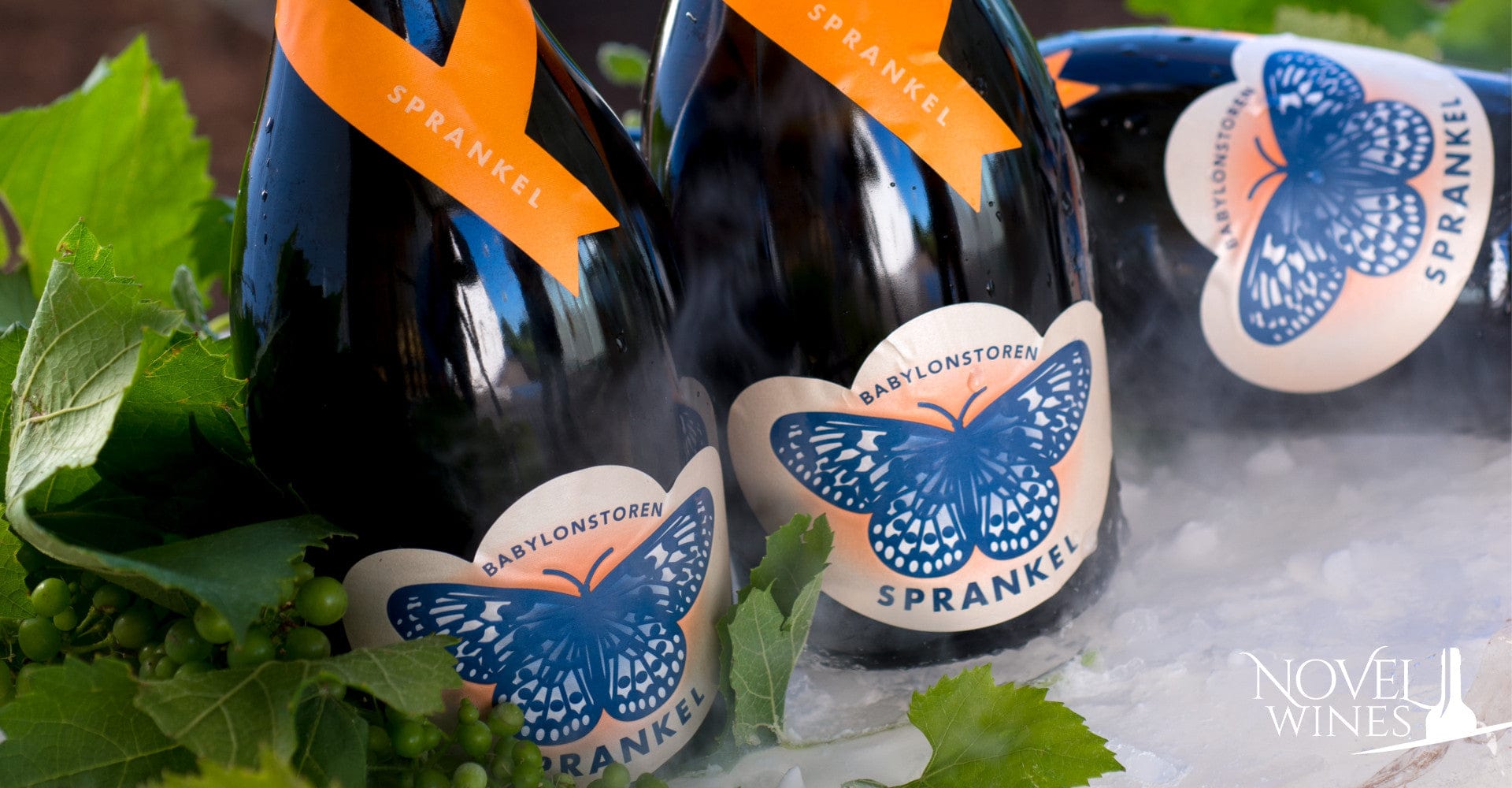 Babylonstoren Sprankel cooling on ice