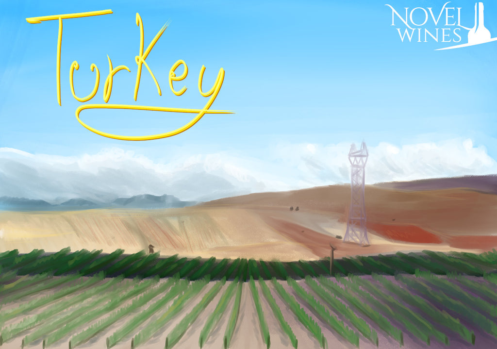 Turkey - Introducing its Wines