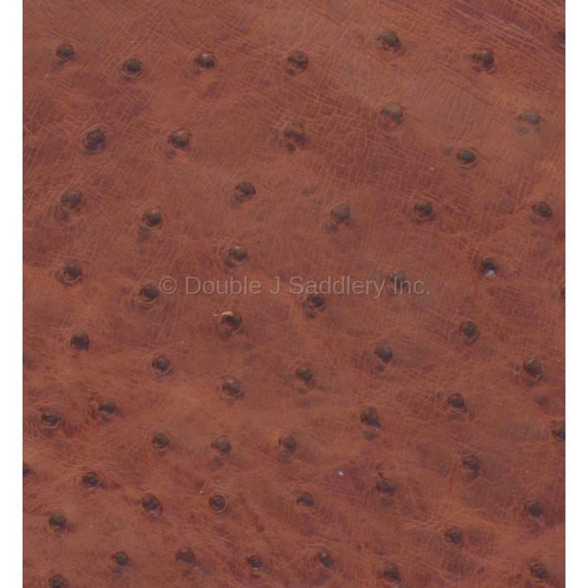 Kelly Green Ostrich Leather - SL227 - Double J Saddlery