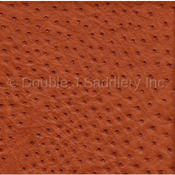 Truex Blue Ostrich Leather - SL251 - Double J Saddlery