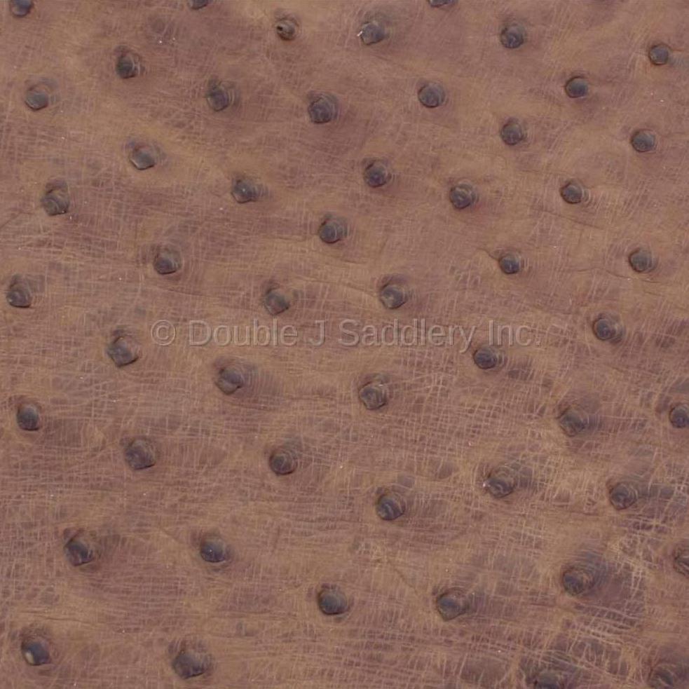 Kelly Green Ostrich Leather - SL227 - Double J Saddlery