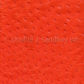 Hot Pink Ostrich Leather - SL1439 - Double J Saddlery