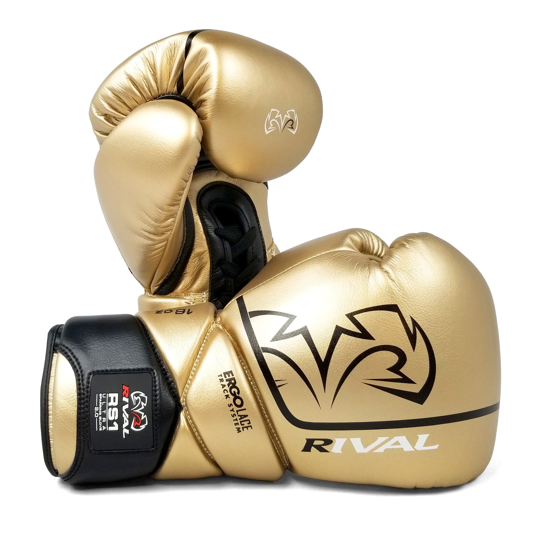 rival 12 oz boxing gloves