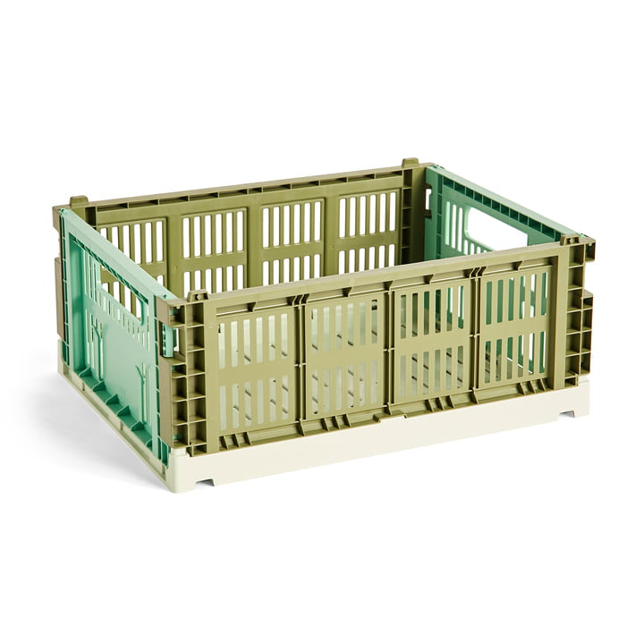 Colour Crate Mix - Olive/Dark Mint - Medium