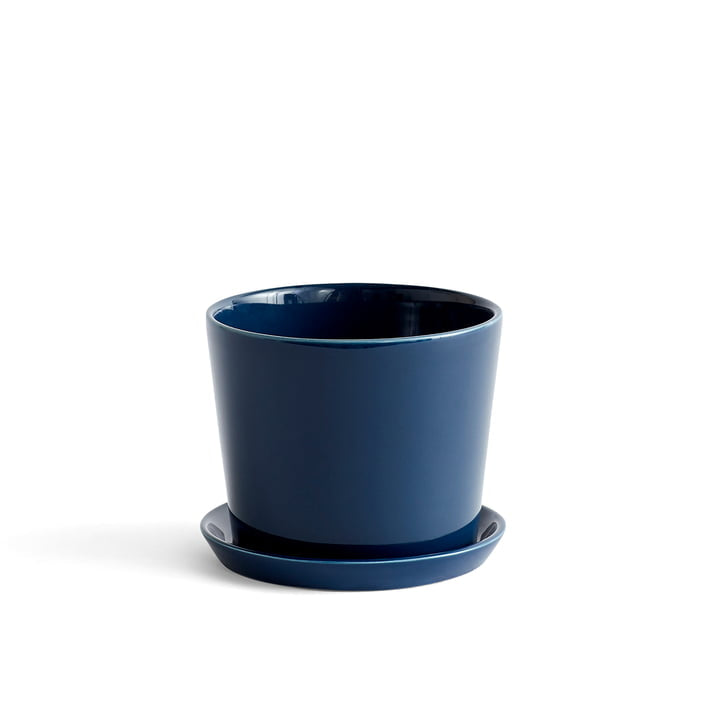 Botanical Family - Plant Pot - Dark Blue - M