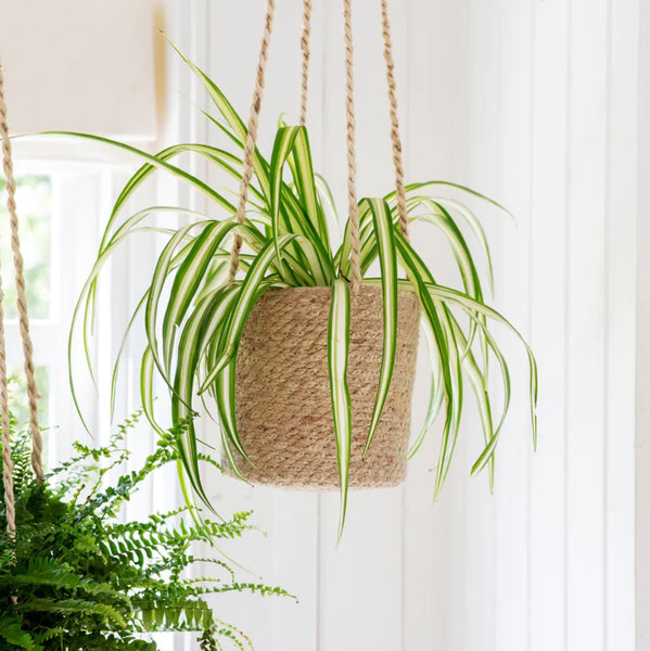Garden Trading - Jute Hanging Plant Pot