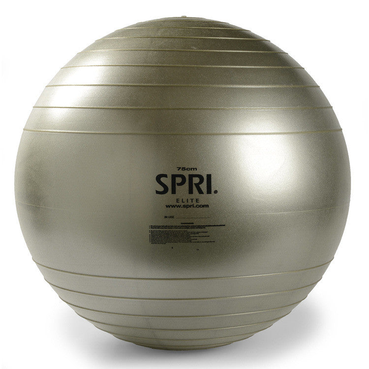 spri 65cm exercise ball