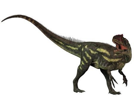 Allosaurus The Strange Reptile-amazing-animal-books