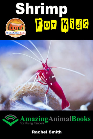 shrimp amazing animal books