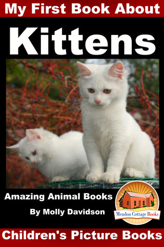 kittens for kids