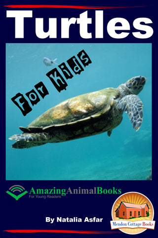 turtles amazing animal books