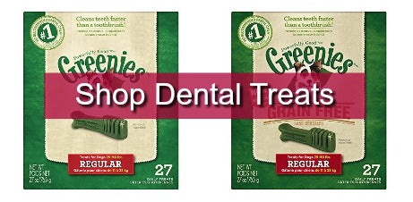 Dental Treats onlline