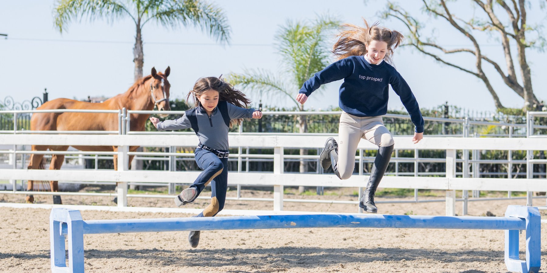 Navy Blue Horse Riding Leggings – Gray Equestrian Clothing