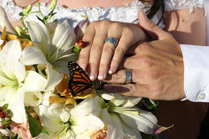 butterfly release