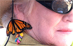 butterfly release