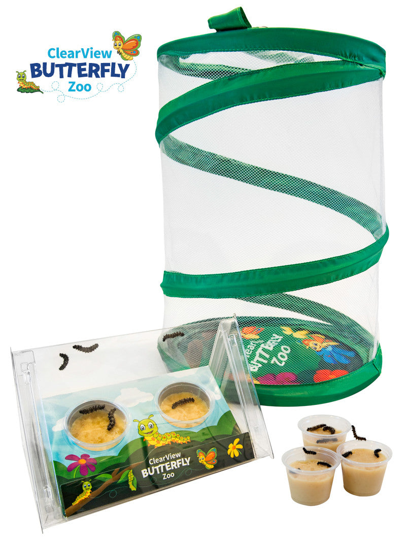 Butterfly Boxes – Shopping