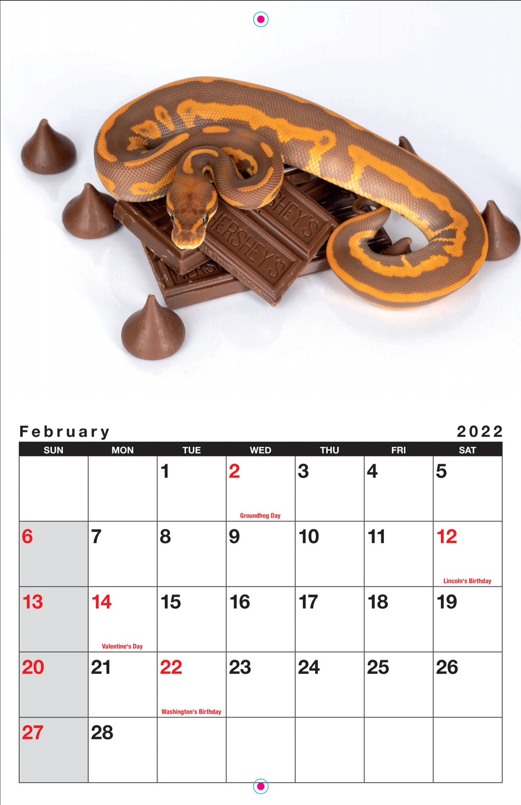 Sold Out Jkr Calendar 21 22 J Kobylka Reptiles