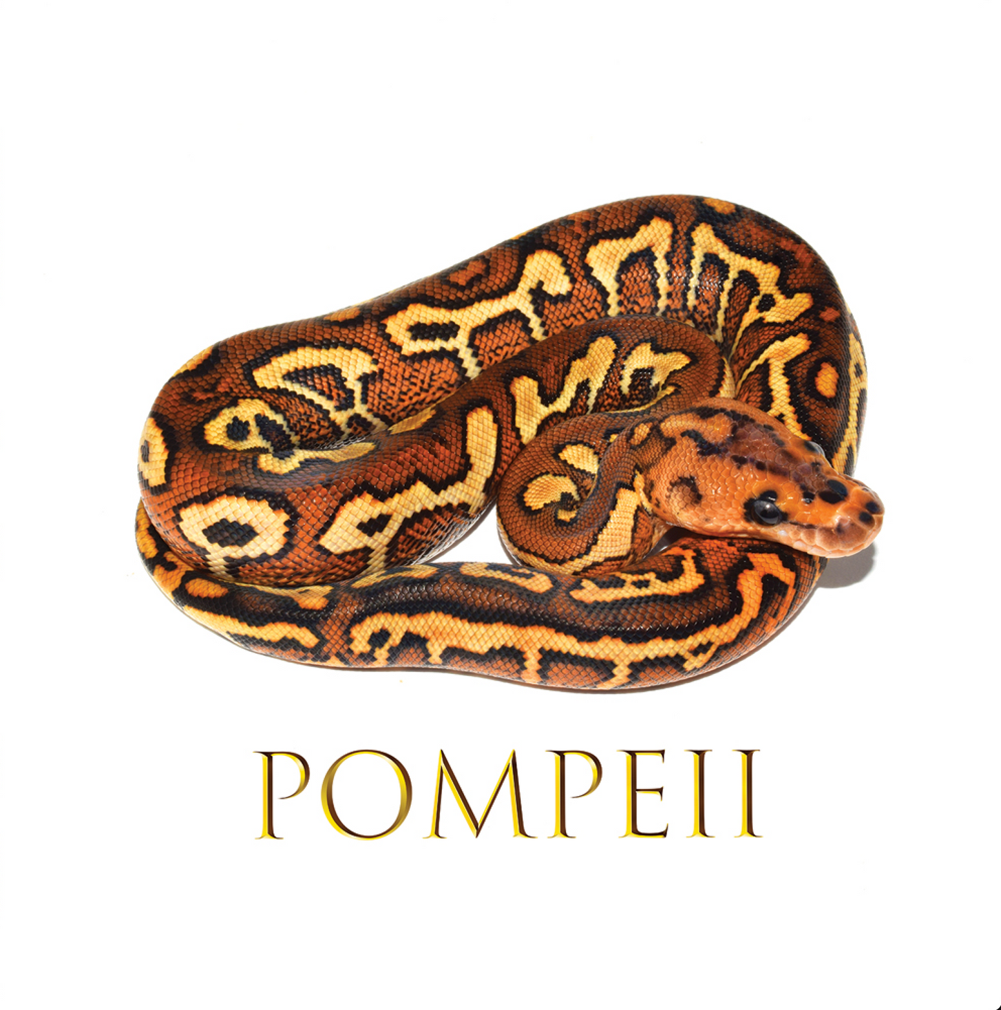 pompeii 2022 poster