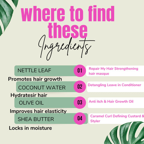 hair care tips, products for natural hair, dry hair, plant baed, atlanta hair care, how can I grow my hair, afro