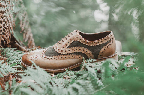 A green tweed and tan leather Gatsby brogue sits amongst ferns
