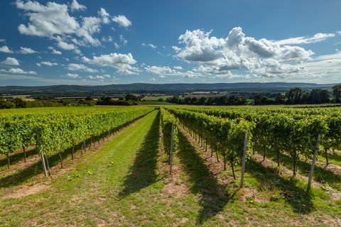 Roebuck estates English sparkling wine 