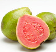 Guava